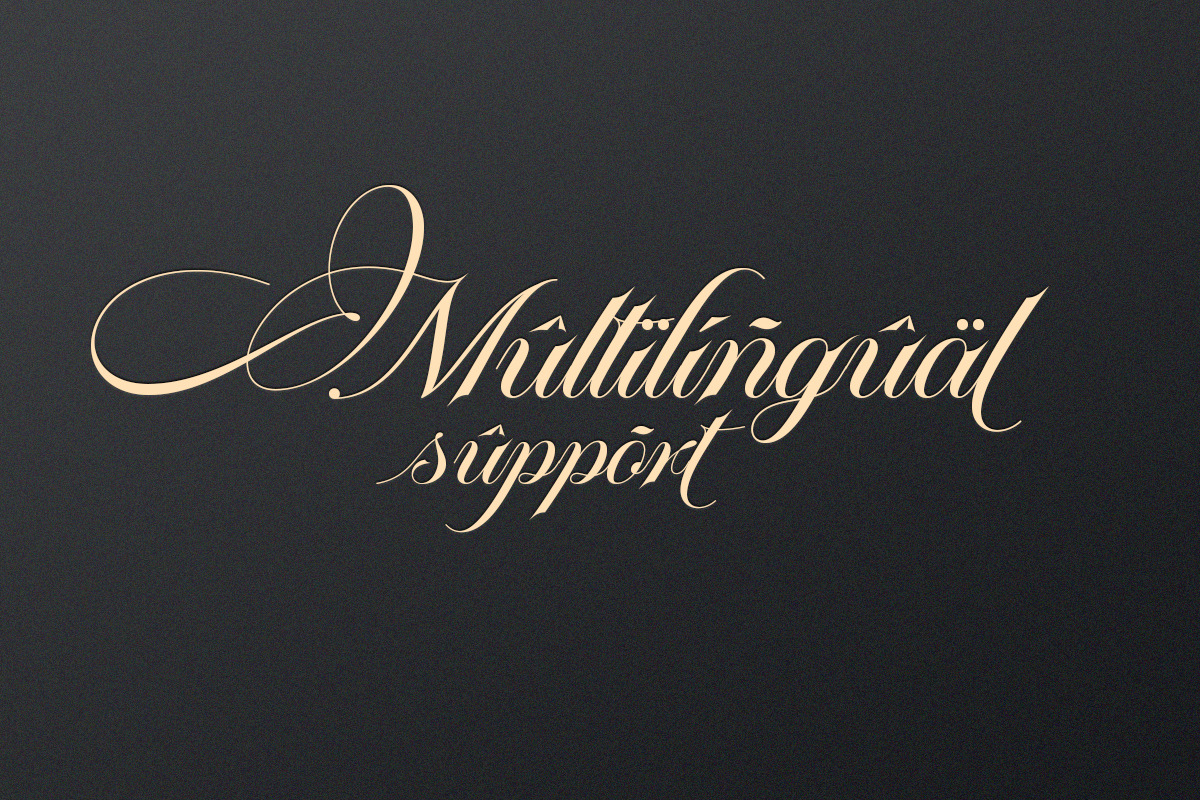Platinum script, a Script Font by Pista Mova (Photo 6 of 11)
