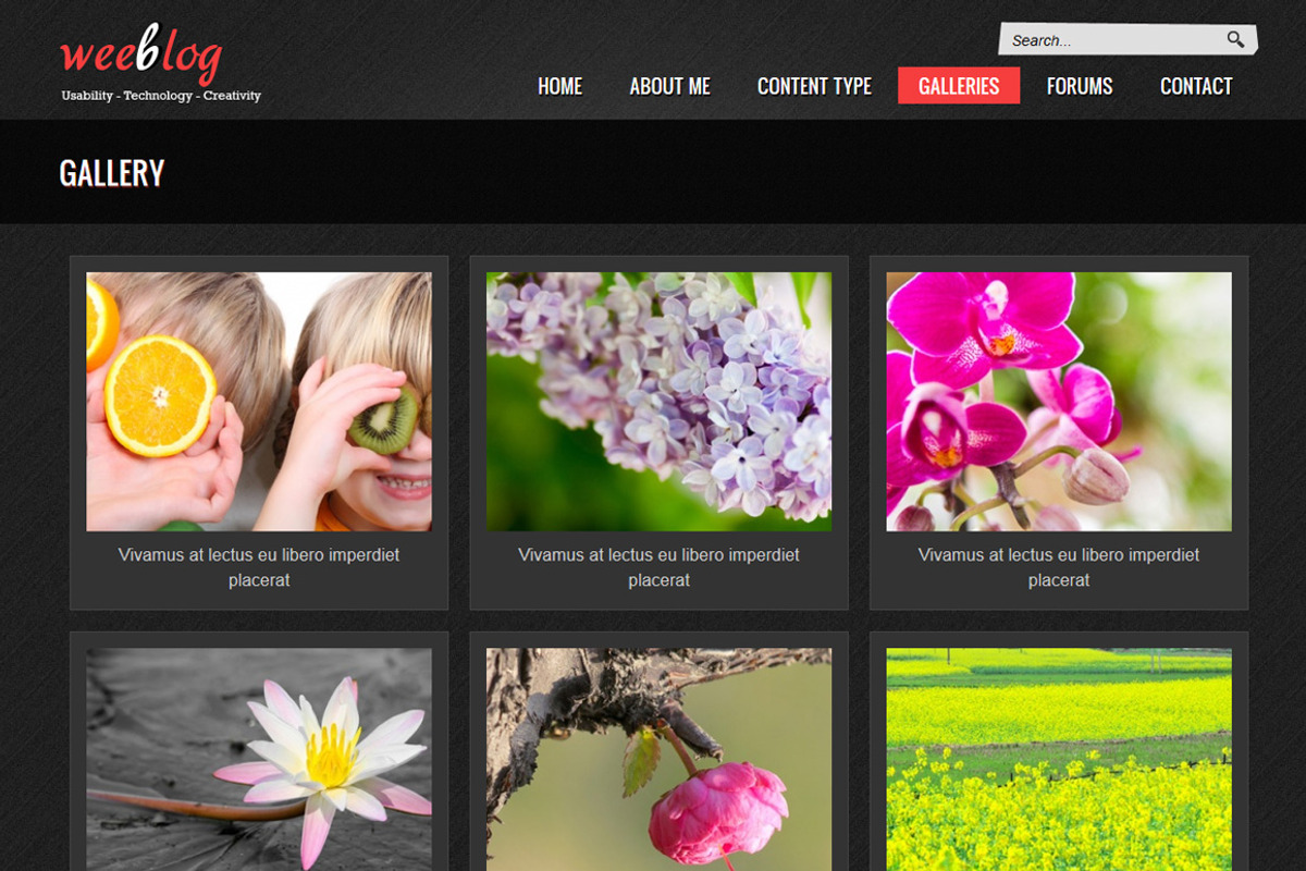 Personal Blog, a Websites & App Template by WeebPal Corp (Photo 2 of 5)