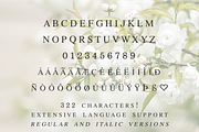All Formal by Kestrel Montes, a Serif Font by INKMETHIS (Thumbnail 2 of 5)