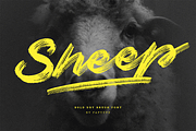 Sheep | Dry Brush Script Font, a Script Font by Ardana Creative (Thumbnail 1 of 6)