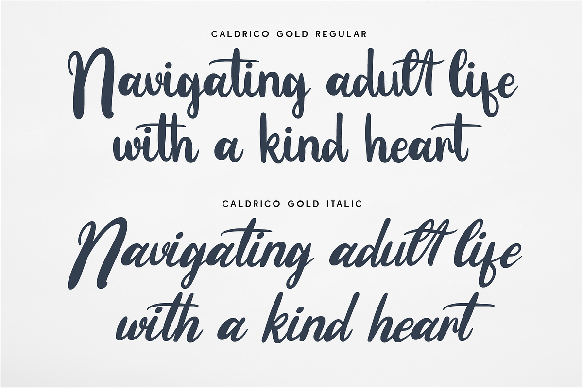 Caldrico Bold - Bold Script, a Script Font by Indotype Foundry (Photo 5 of 10)
