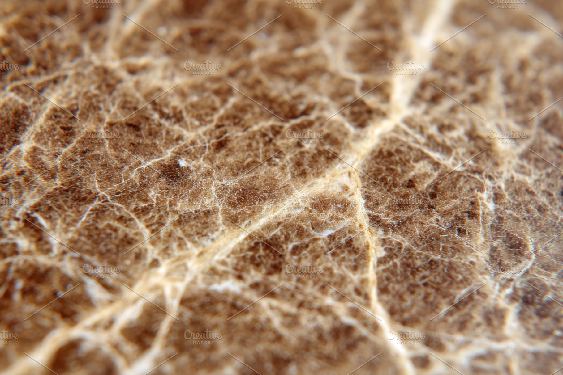 Textured brown surface with fine lines and cracks, a Background Photo by AlyaAnd