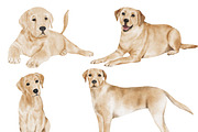 Watercolor Cat & Dog Illustration, an Animal Illustration by ArtbyHien (Thumbnail 4 of 7)