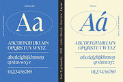 Astire Klarish, a Serif Font by Dora Typefoundry (Thumbnail 28 of 36)