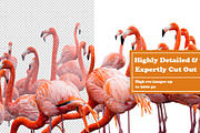 Animals Digital Collage Pack, an Object Graphic by Collage Supply Co (Thumbnail 2 of 3)