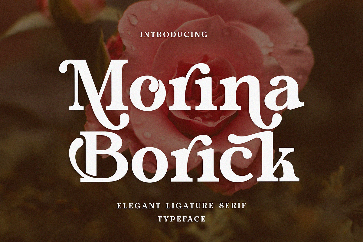 Morina Borick Elegant Ligature Serif, a Serif Font by Alfinart (Photo 1 of 10)