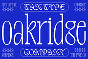 TAN-OAKRIDGE, a Sans Serif Font by TanType (Thumbnail 1 of 10)