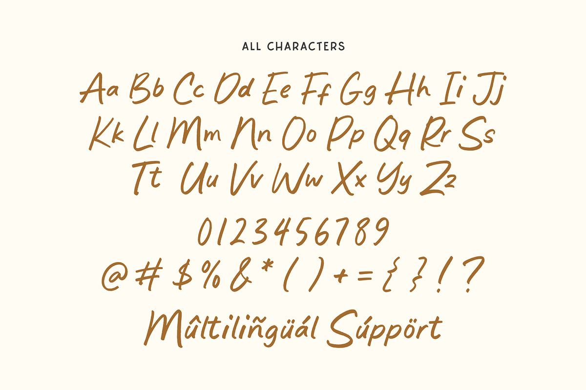 Fortune Parade Font, a Handwritten Font by Timurtype (Photo 6 of 7)