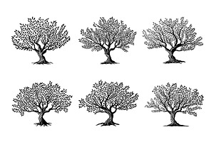 Olive Trees Silhouette Icons