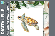 Sea Turtle Illustration Bundle PNG, an Animal Illustration by Enliven Designs (Thumbnail 6 of 8)
