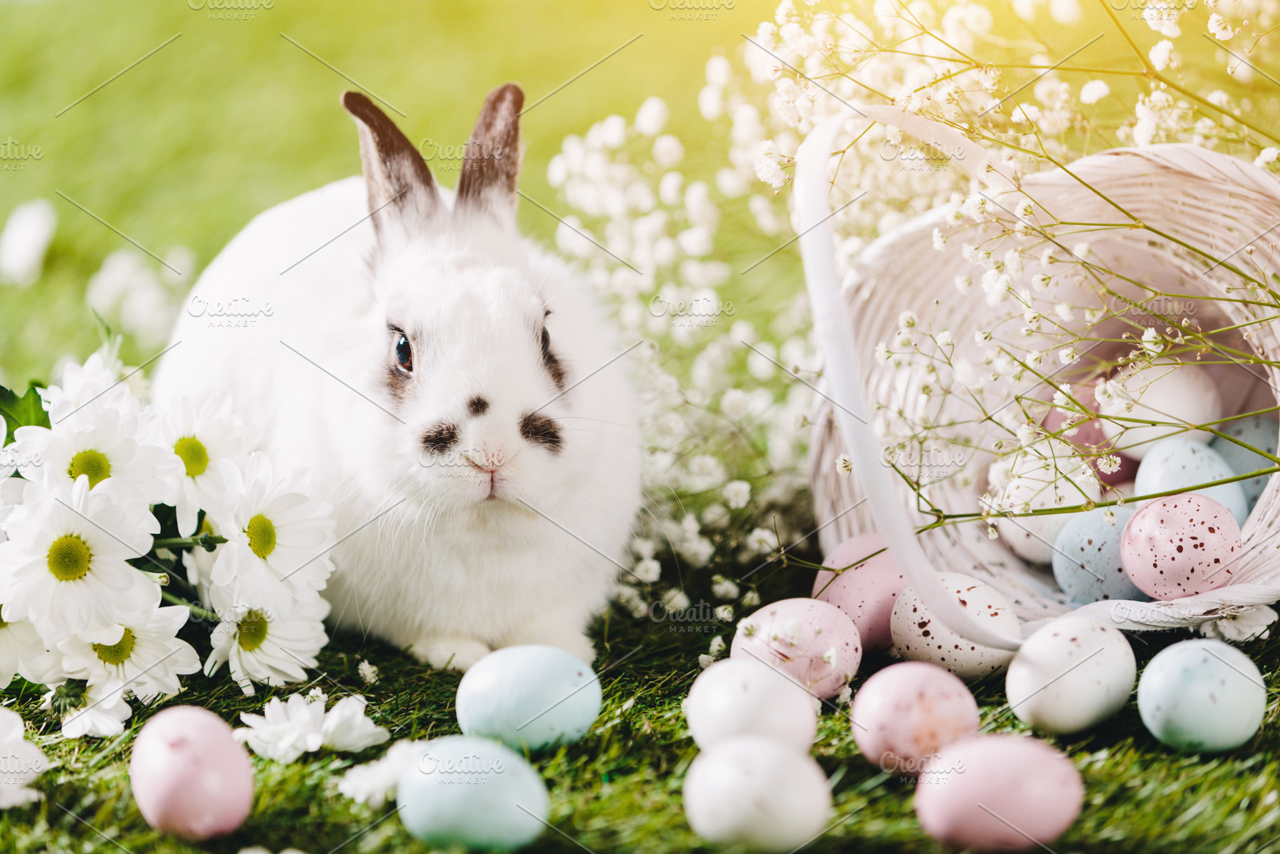Rabbit sitting next to Easter decora, a Holiday Photo by Photocreo Michal Bednarek