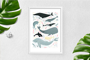 WHALES & another ocean creatures, an Animal Illustration by Alina Mubarak (Thumbnail 12 of 12)