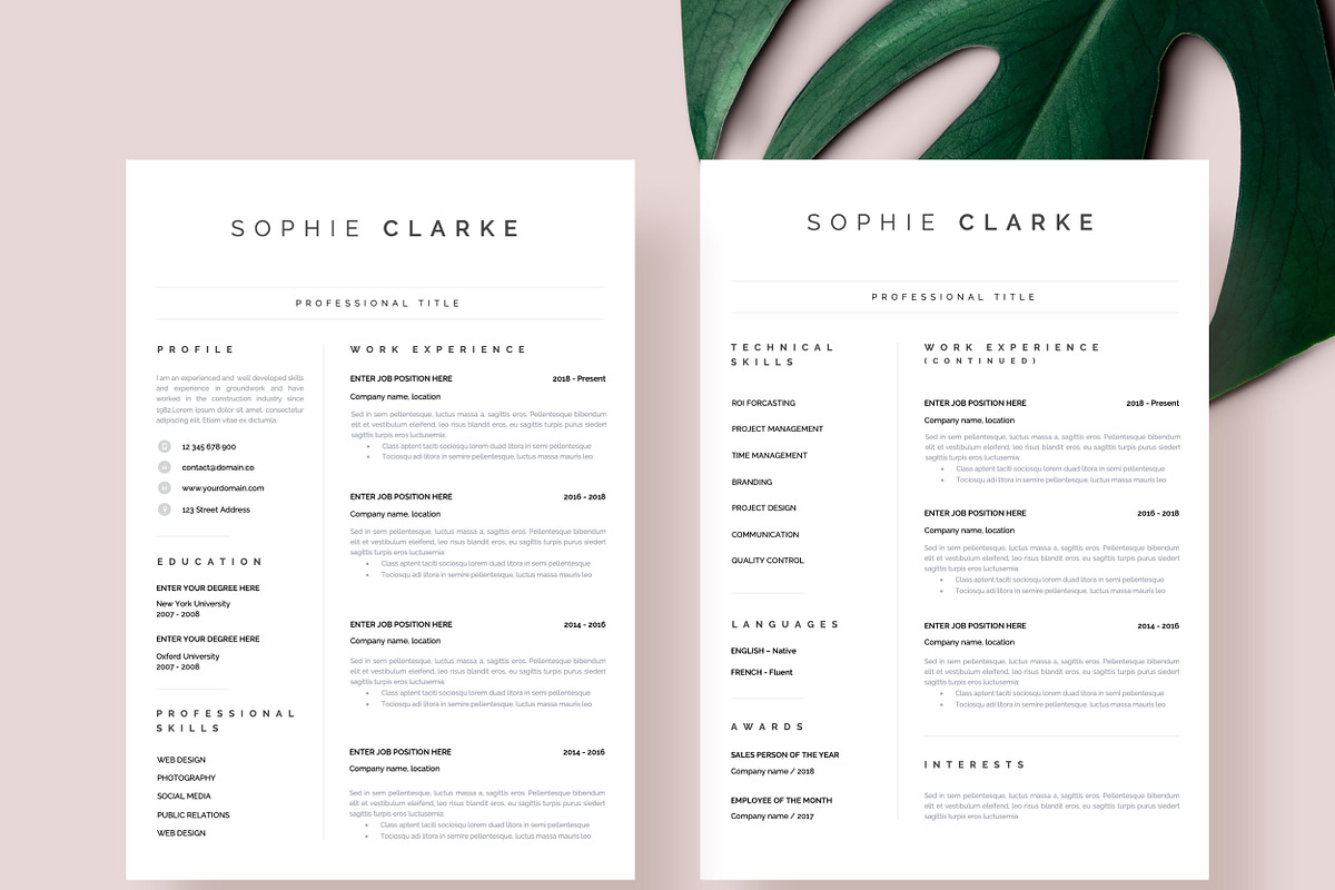 Professional Resume CV Template, a Resume Template by Resume Angels (Photo 4 of 12)