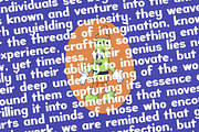 Creator Genius Bold Display Font, a Serif Font by timelesstype.co (Thumbnail 14 of 20)