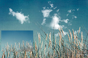 40 Cloud and Fog and Mist Brushes, a Brush Add-On by dyrkwyst textures (Thumbnail 6 of 6)