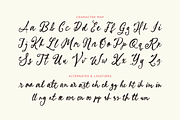 Sparkling Moment - Script Font, a Handwritten Font by agnyhasyastudio (Thumbnail 11 of 18)