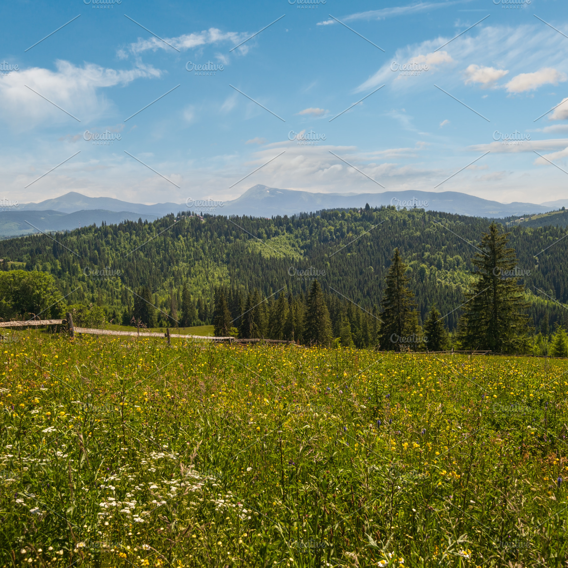 Summer Chornohora massiv mountains scenery view from Sevenei hil, a Nature Photo by YuriyB