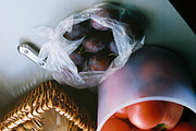 Esthetic Foodie Photo Bundle, a Food & Drink Photo by Kasia Górska (Thumbnail 8 of 8)