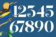 Prague Quest Modern Serif Font, a Serif Font by timelesstype.co (Thumbnail 14 of 20)