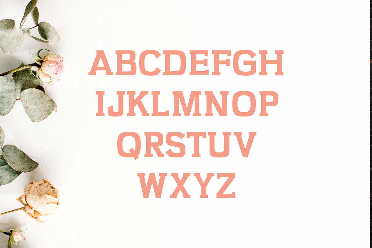 Kaayla Slab Serif Font Pack preview 2