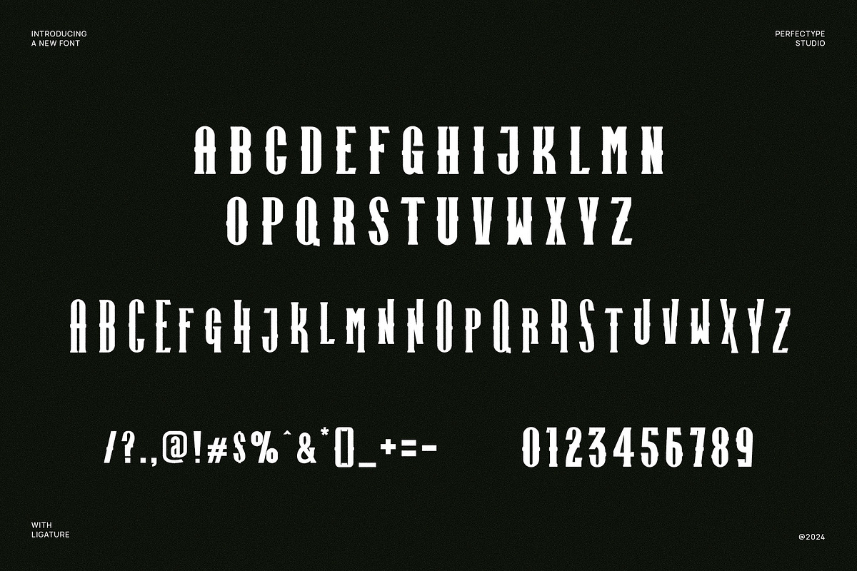 Branid Elegant Serif Font Typeface, a Serif Font by Perfectype (Photo 6 of 6)