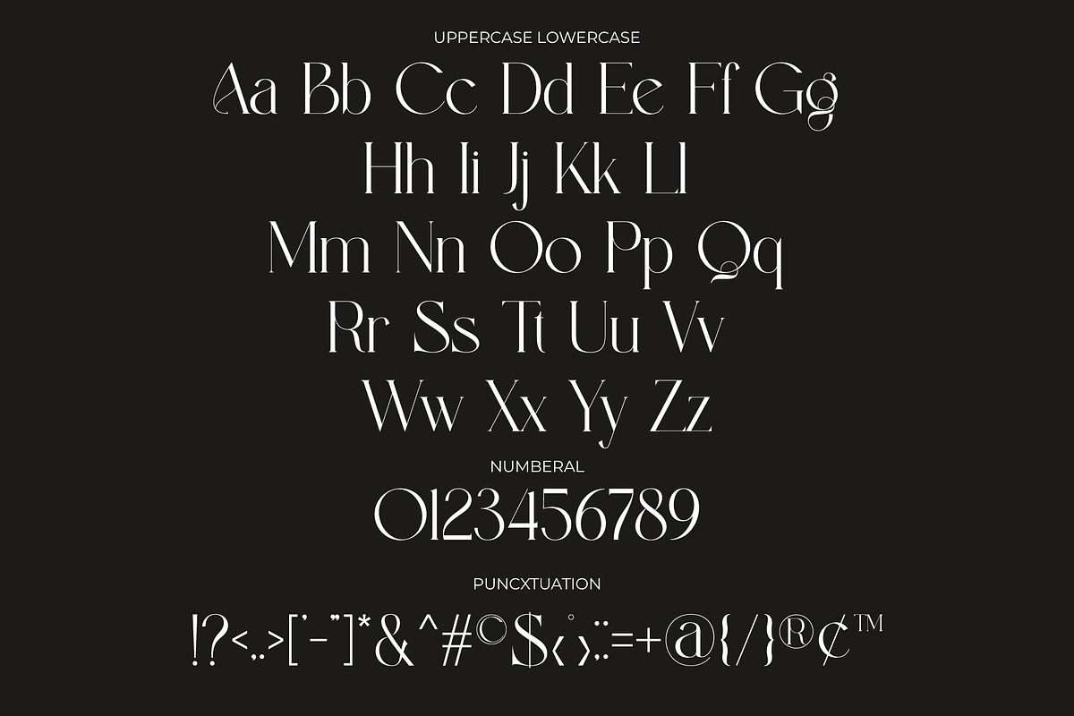Bildan Modern Ligature Serif, a Serif Font by Alfinart (Photo 10 of 10)