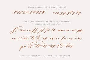 Auteur Calligraphy Script Font