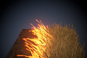 Burning Grass