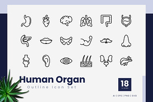 Human Organ Outline Icons, an Outline Icon by Zeer Graphic