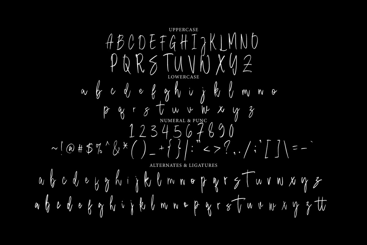 Sure Thing - Signature Brush, a Handwritten Font by tebaltipislab (Photo 5 of 9)