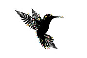 Decorative Floral Hummingbird Bundle, an Illustration by jahid234 (Thumbnail 16 of 31)
