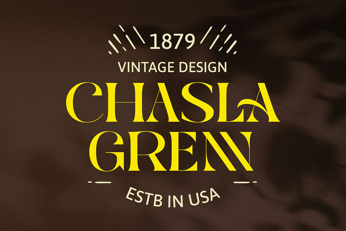 KOLAK-modern vintage, a Serif Font by ToniStudio (Photo 3 of 6)