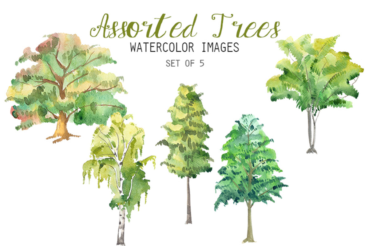 Watercolor Assorted Trees Clipart, an Illustration by YesFoxy