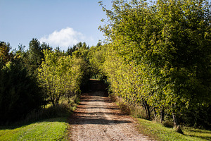 Country road featuring road, dirt road, and lane