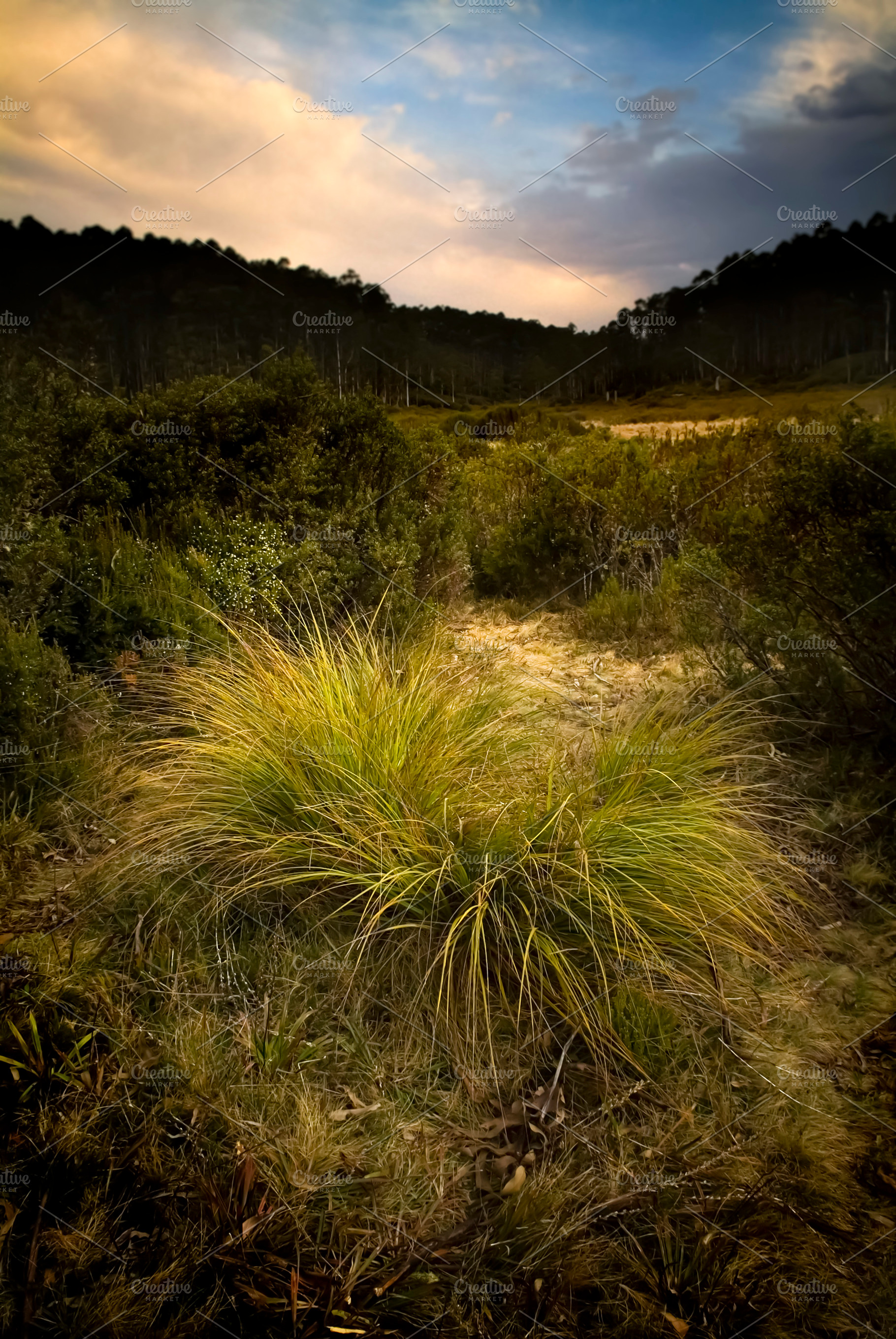 Dusk Valley, a Nature Photo by THP Creative