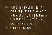 Cingker Modern Display Serif Font, a Serif Font by Perfectype (Thumbnail 8 of 8)