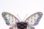 ETARA Magical Elements & Stamps, an Object Graphic by ETARA by Mea Hau (Thumbnail 30 of 35)