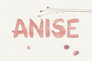 Anise, a Font by Webvilla Studio (Thumbnail 2 of 4)