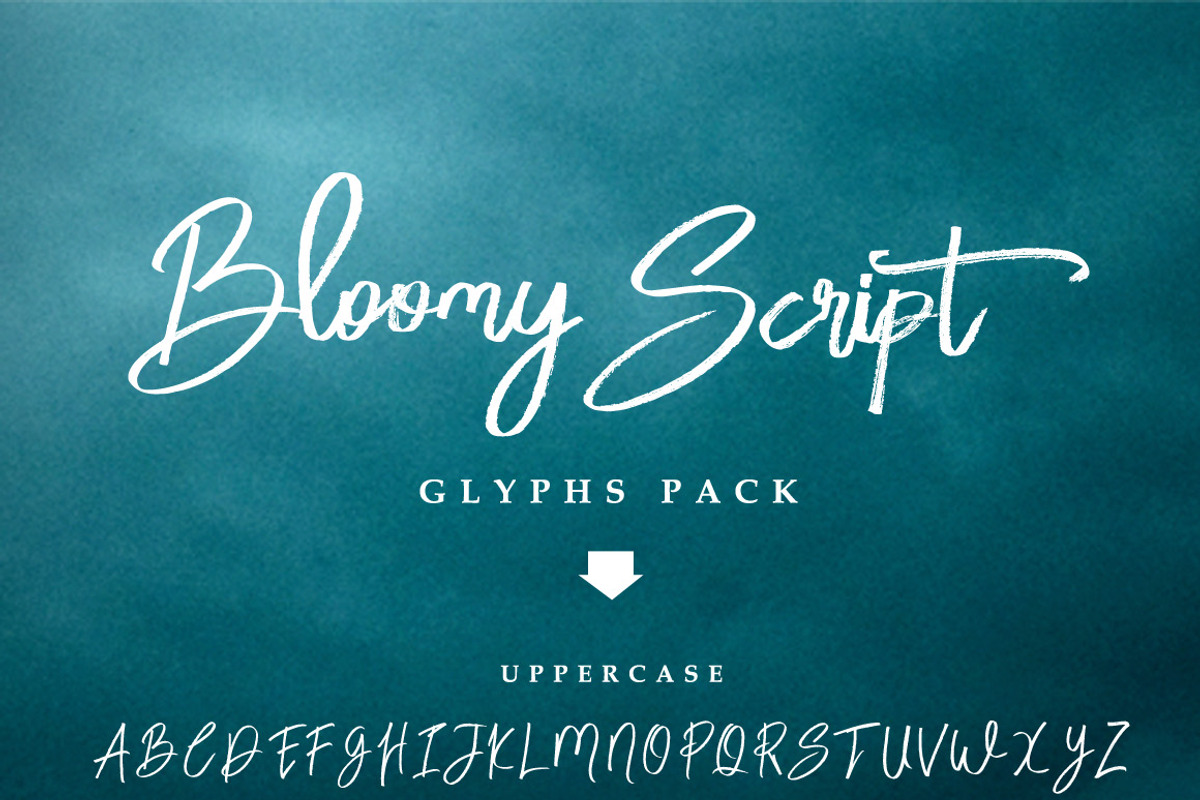 Brookoly Script - Handwritting Font, a Script Font by FHFont (Photo 12 of 12)