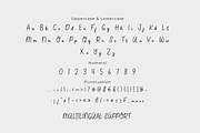 Husterican - Script Font, a Handwritten Font by twinstd (Thumbnail 3 of 5)