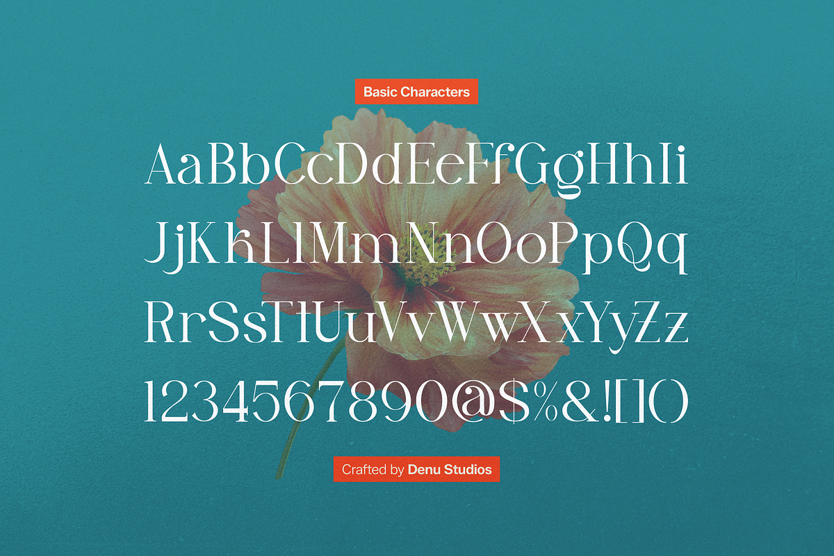 Lyodia Lover | Modern Display Serif, a Serif Font by Denustudios (Photo 9 of 11)