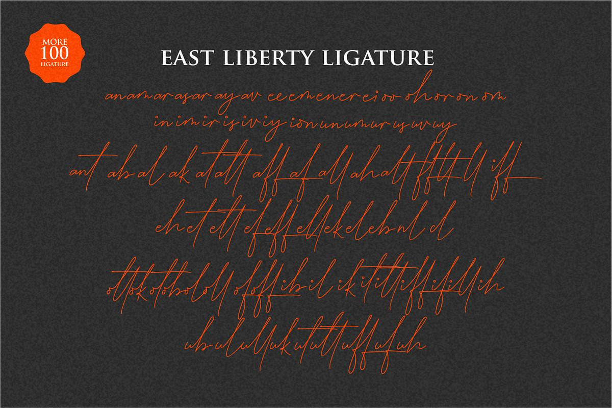 East Liberty | Thin Signature & Sans, a Font by typeline studio (Photo 9 of 16)