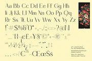 Madgio Modern Elegant Display, a Sans Serif Font by timelesstype.co (Thumbnail 17 of 20)