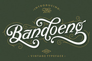 Heritage Font Combinations, a Script Font by HRDR (Thumbnail 3 of 26)