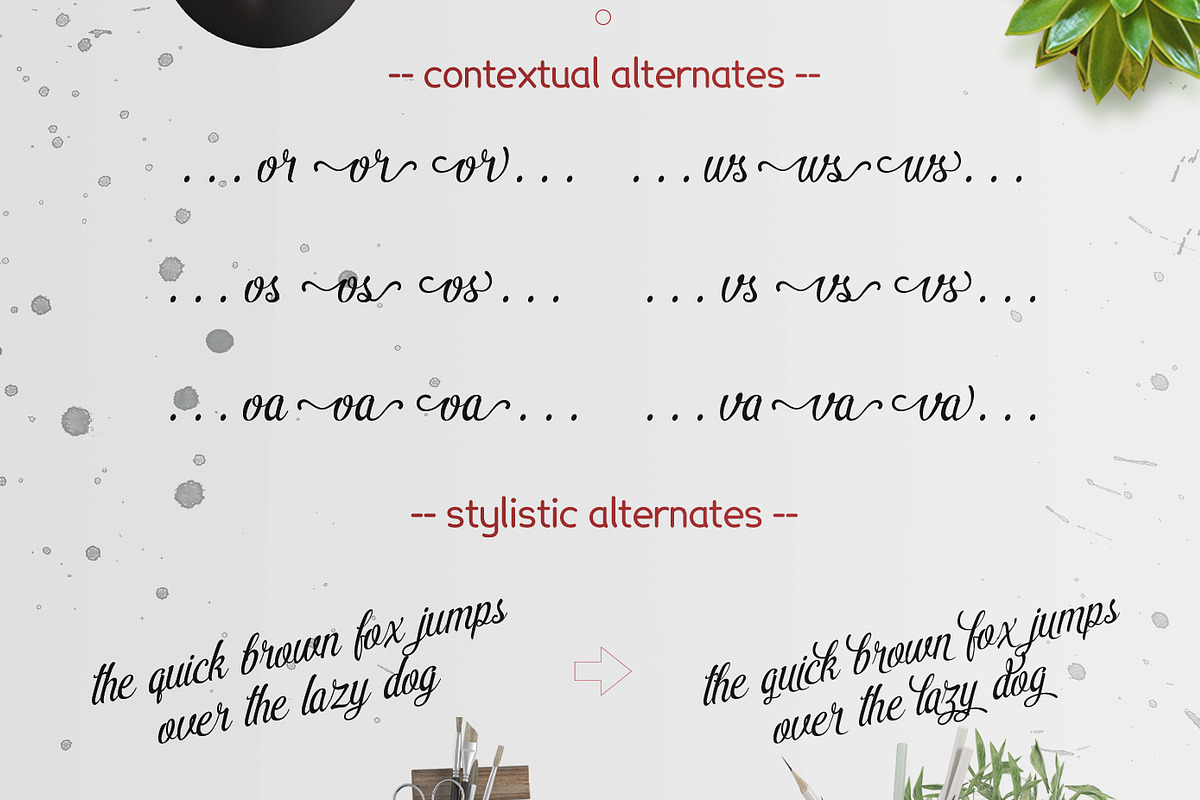 Pamega Script ( February Sale ) preview 7