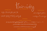 Hamidey Signature Script, a Script Font by ALIVECREATIVE (Thumbnail 5 of 5)