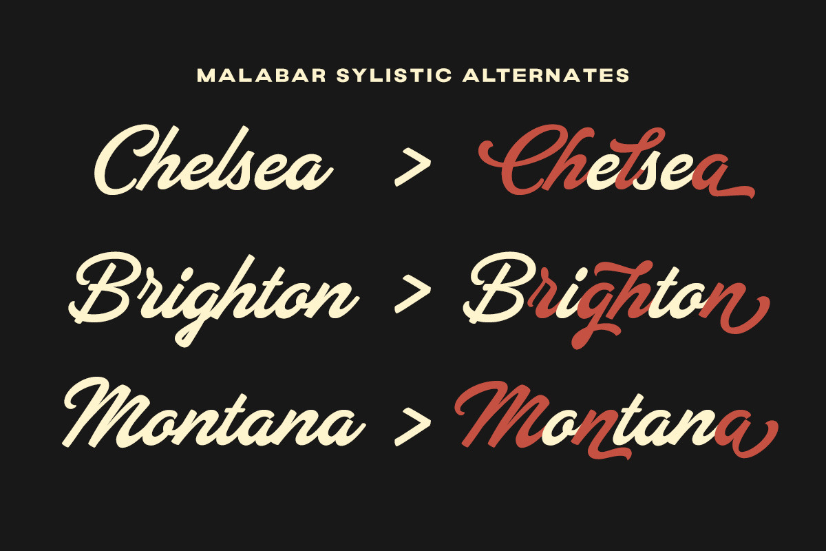 The Malabar Script, a Script Font by Letterhend Studio (Photo 2 of 9)