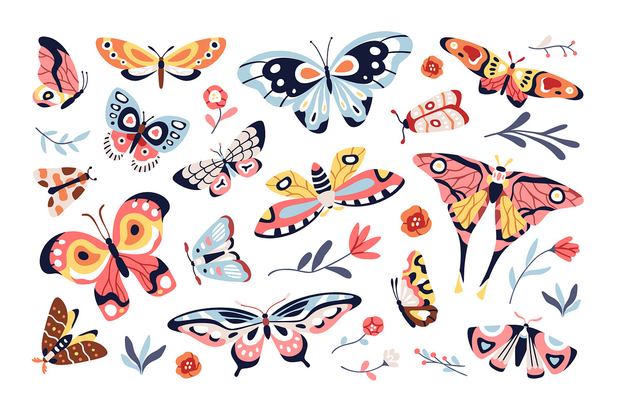 Pretty exotic butterflies, moths set, an Animal Illustration by Good Studio (Photo 4 of 7)