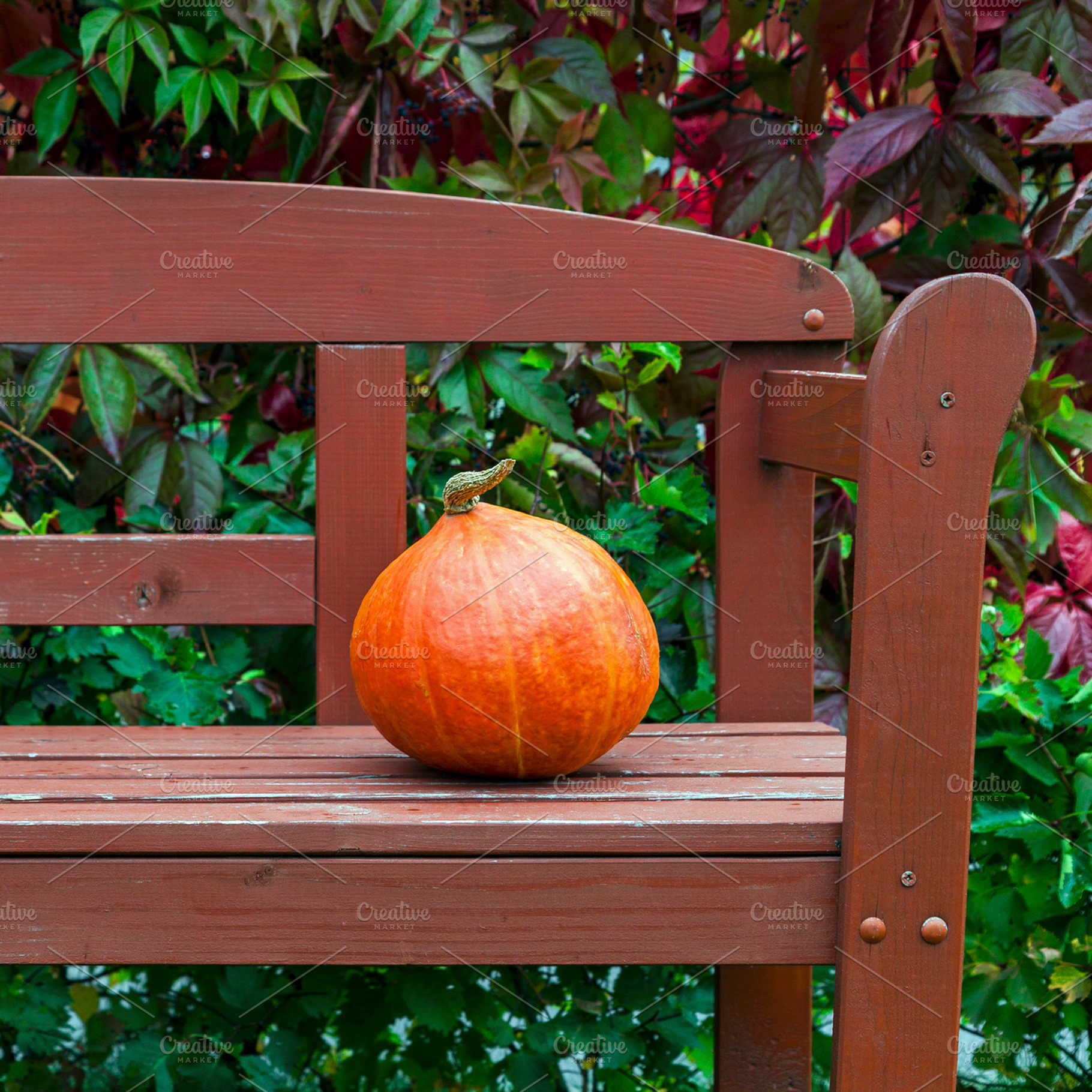 Pumpkin on the bench, a Food & Drink Photo by BOOCYS