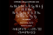 Missing, a Handwritten Font by FreshTypeINK (Thumbnail 2 of 9)